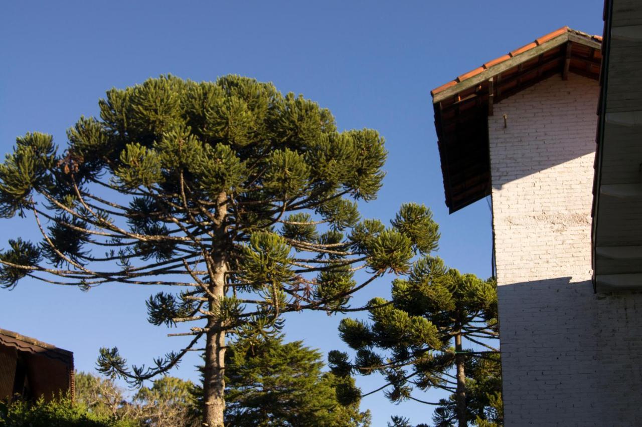 Pousada Locanda Belvedere Монте Верде Екстериор снимка